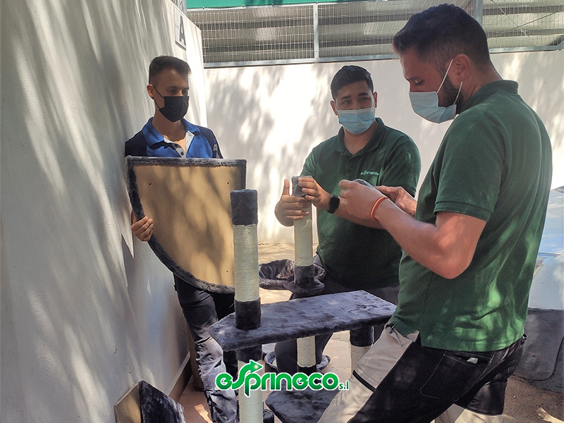 Árbol Rascador Cieza