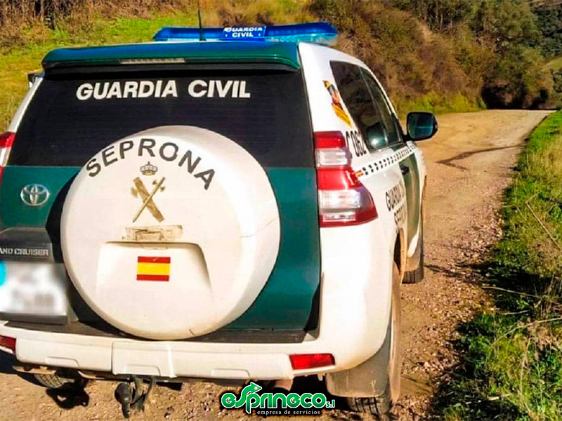 La Guardia Civil localiza y denuncia a los dueños de dos perros abandonados